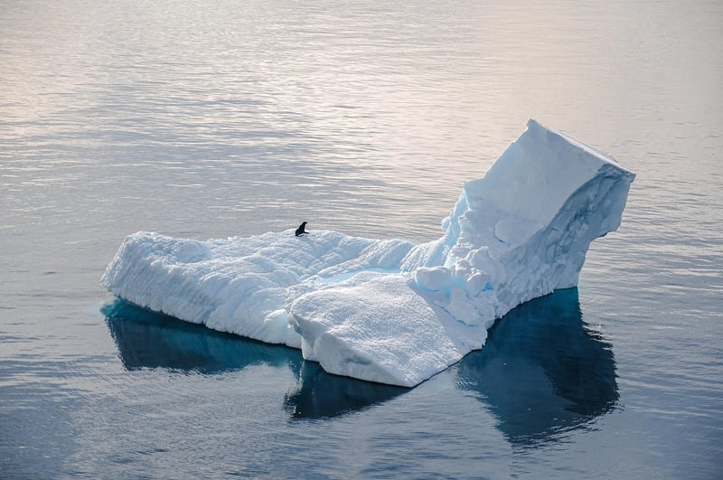 Antarctica icy landscape